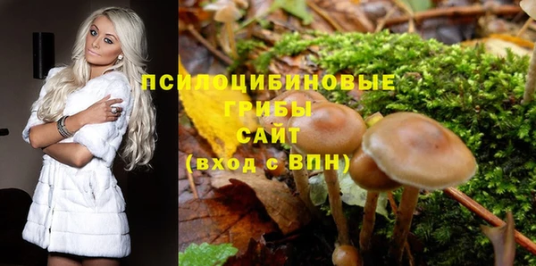 Альфа ПВП Надым